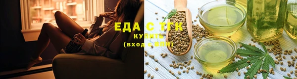 эйфоретик Бородино