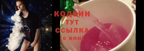 эйфоретик Бородино