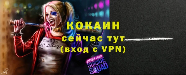 эйфоретик Бородино