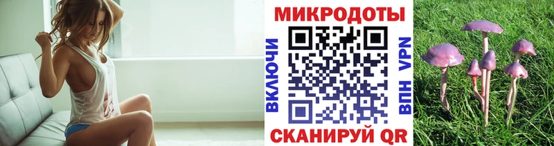 Псилоцибиновые грибы прущие грибы Мирный
