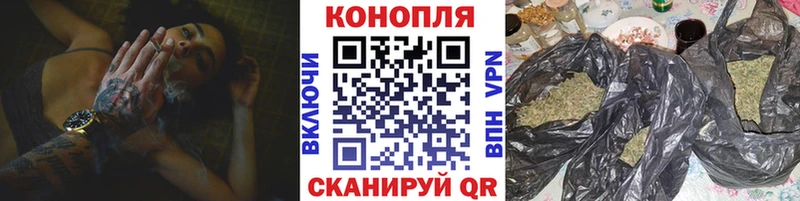 Конопля конопля Мирный